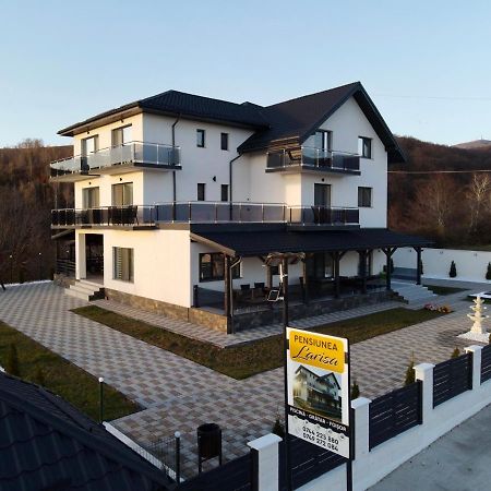 Casa De Vacanta Larisa Novaci-Straini Luaran gambar