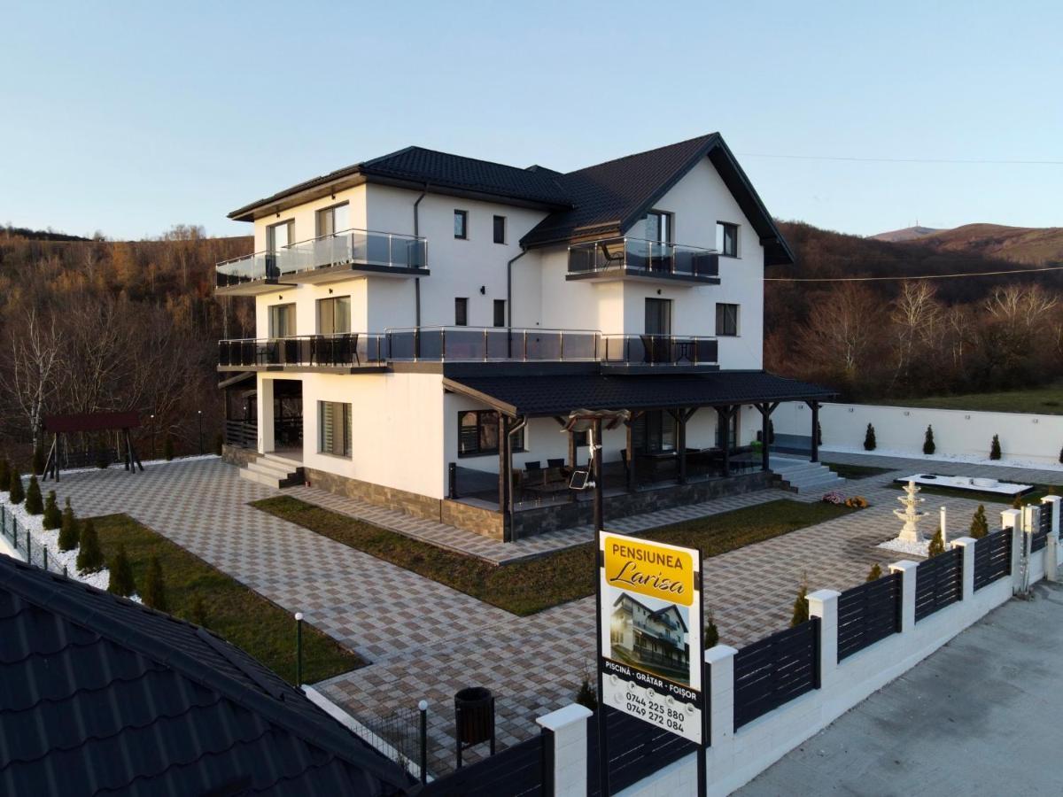 Casa De Vacanta Larisa Novaci-Straini Luaran gambar