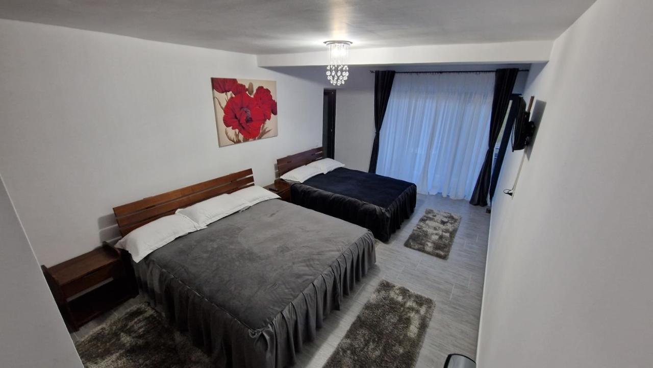Casa De Vacanta Larisa Novaci-Straini Luaran gambar