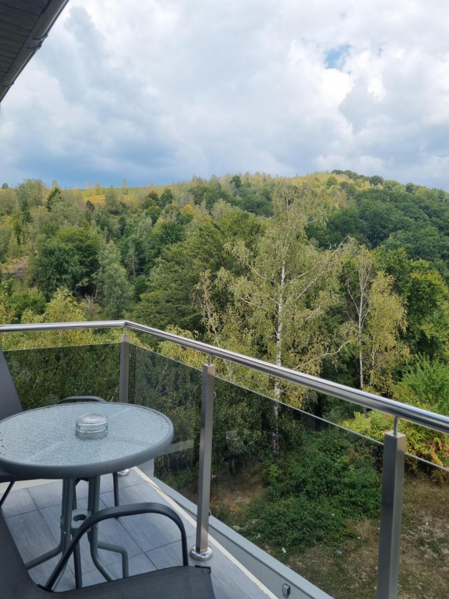 Casa De Vacanta Larisa Novaci-Straini Bilik gambar